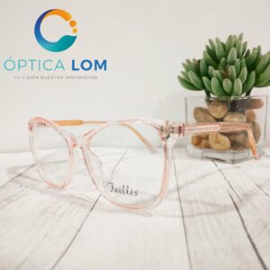 FEILLIS DAMASCO TRANSP