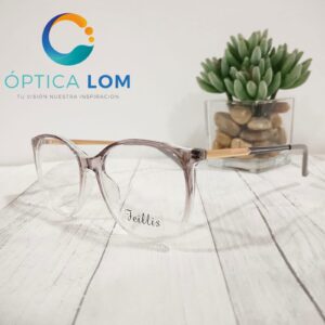 FEILLIS DEGRADE GRIS